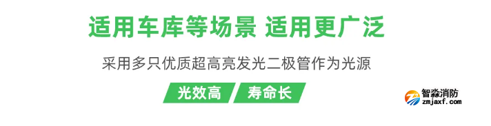 泰和安車庫消防應急照明燈具適用場所