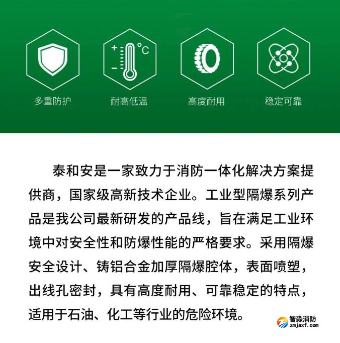 泰和安工業型隔爆系列產品上市