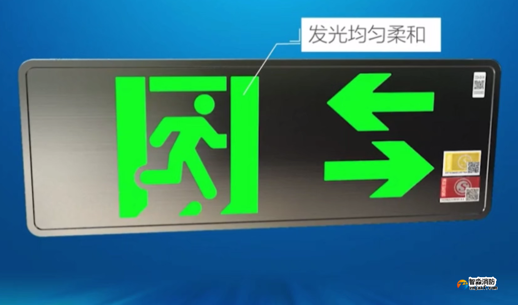 應急啟動功能