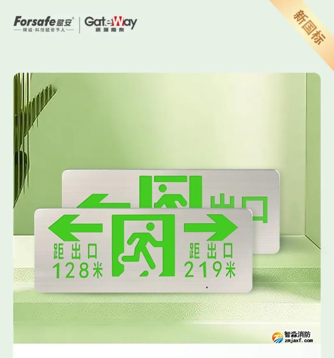 嘉泰新國標應急疏散標志燈