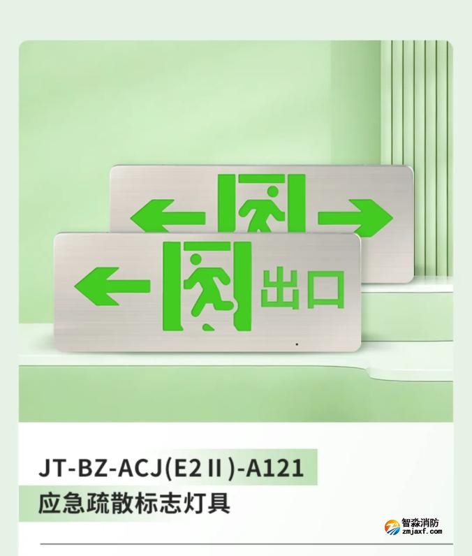 嘉泰新國標應急疏散標志燈